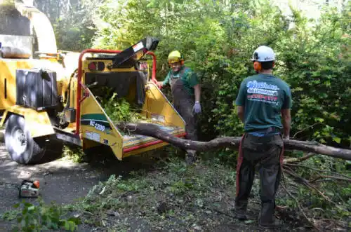 tree services Schaumburg